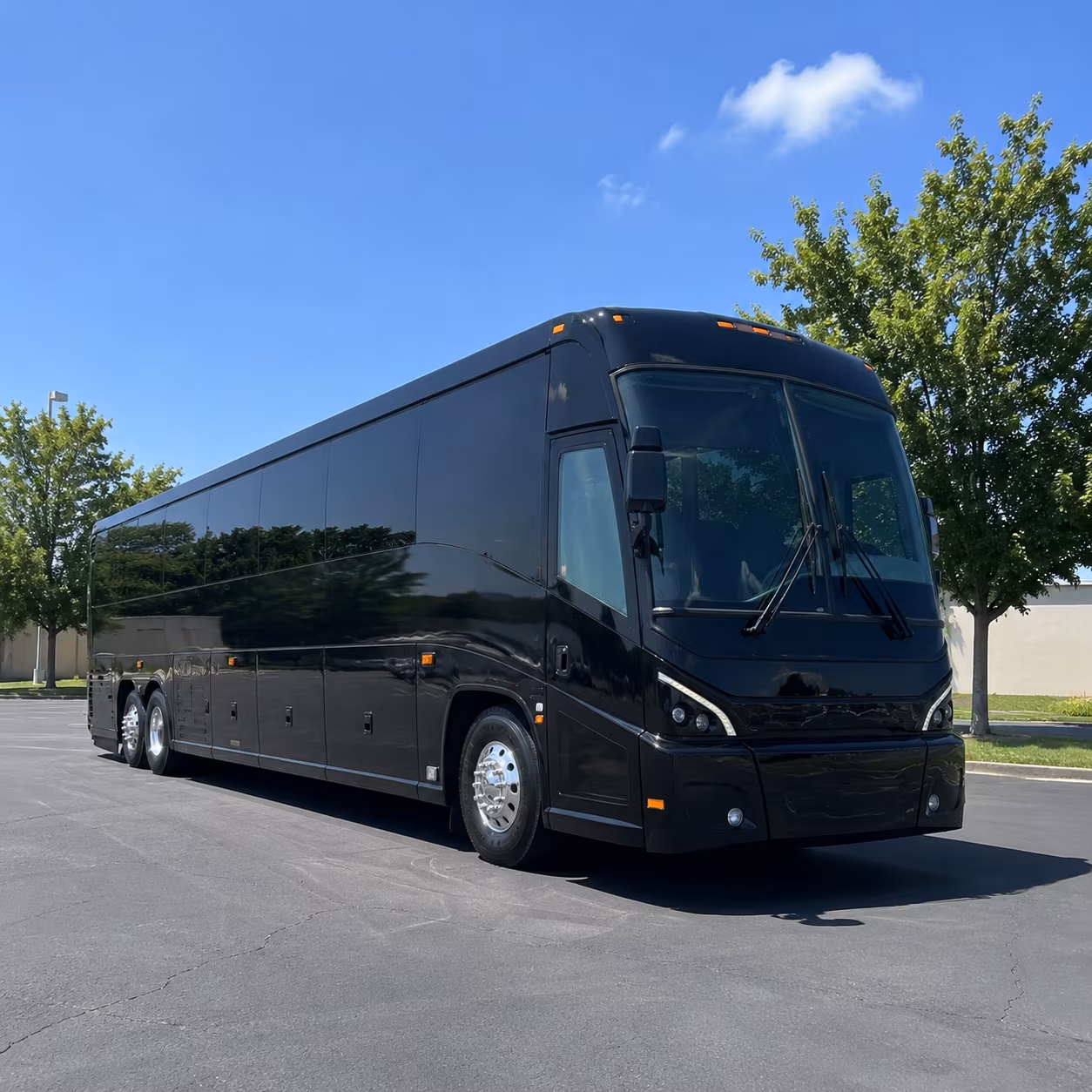 queen creek 56 passenger charter bus