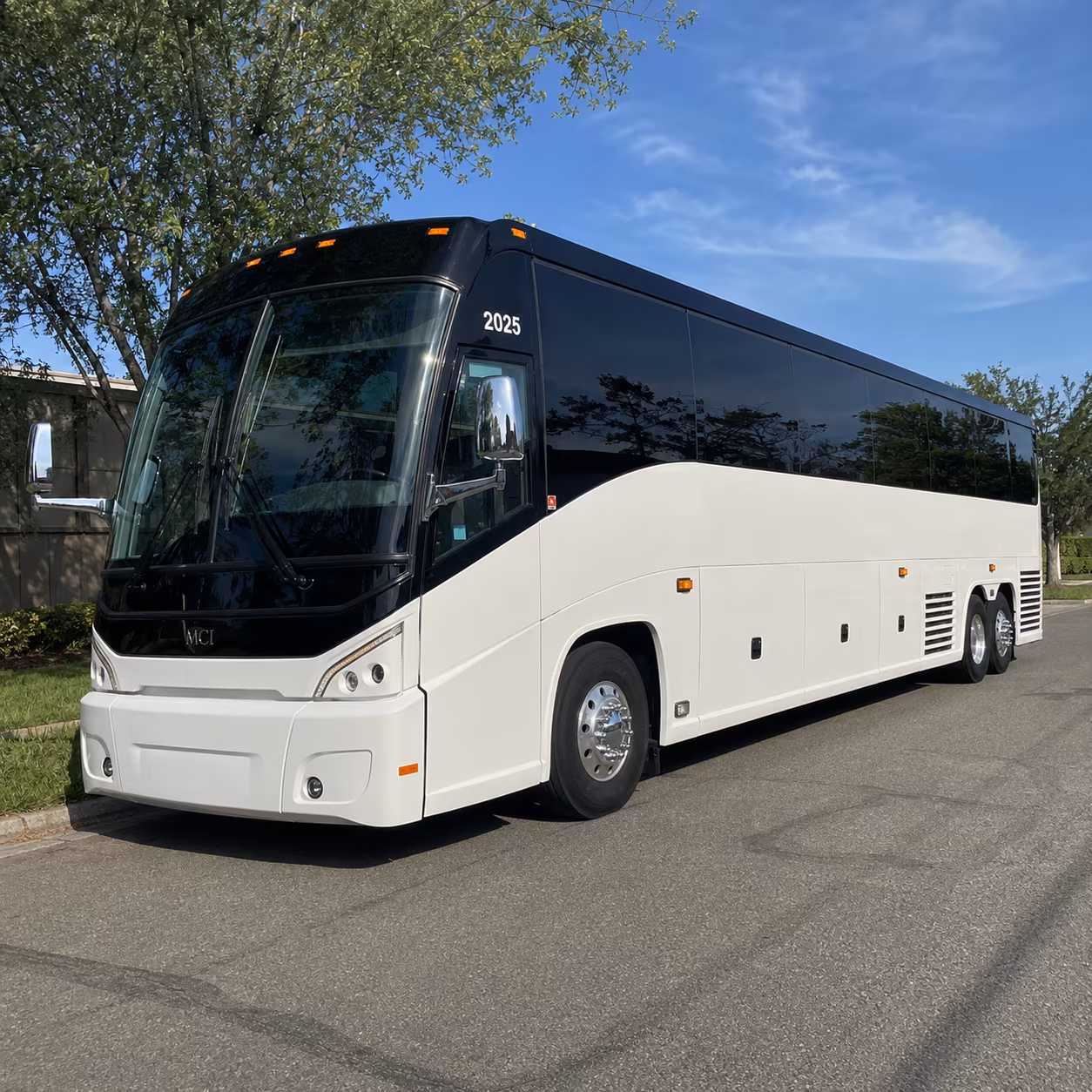 queen creek birthday party transportation onboard seating