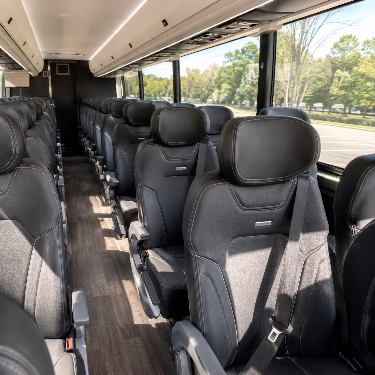 queen creek wine tour transportation onboard seating